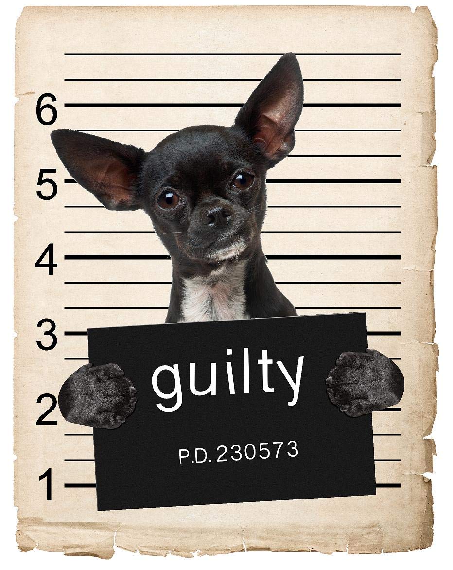 Amazon.com: Chihuahua Dog Mugshot Magnet 4x7 in – Fun and Playful